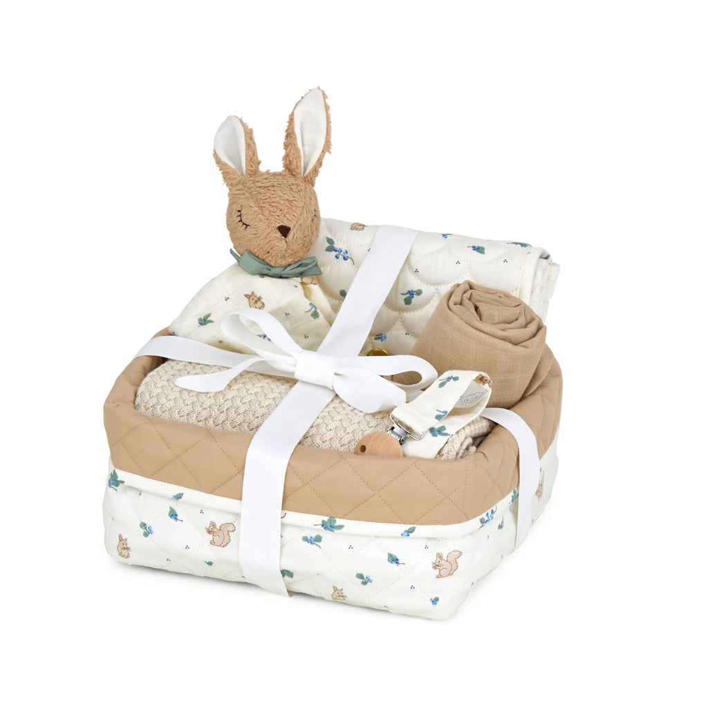 Baby Shower Geschenkkorb - Blueberries