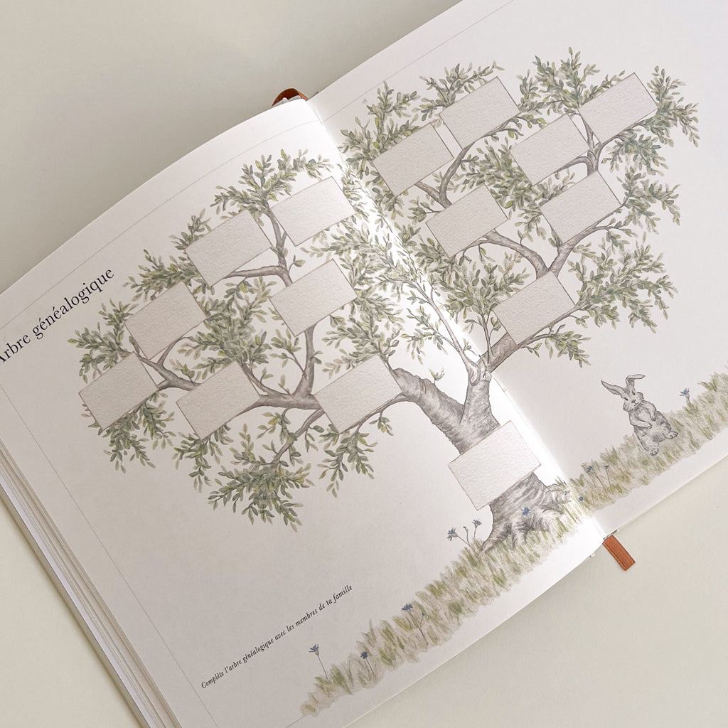 Buch „Das erste Jahr des Babys“ – Französisch