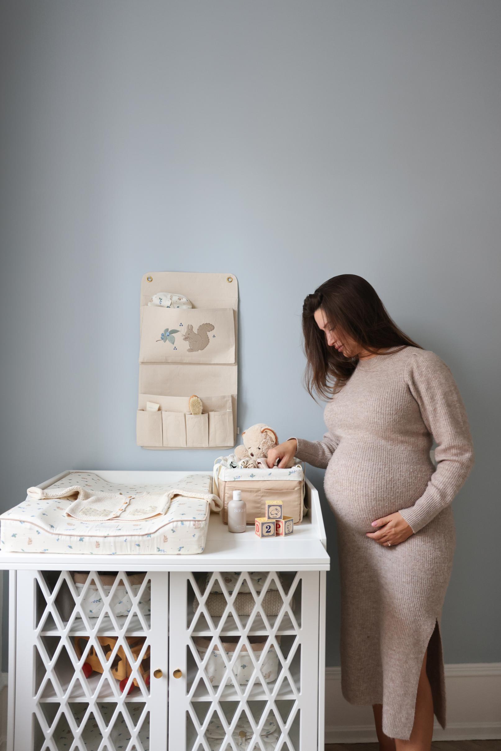 Diaper Caddy - OCS - Blueberries