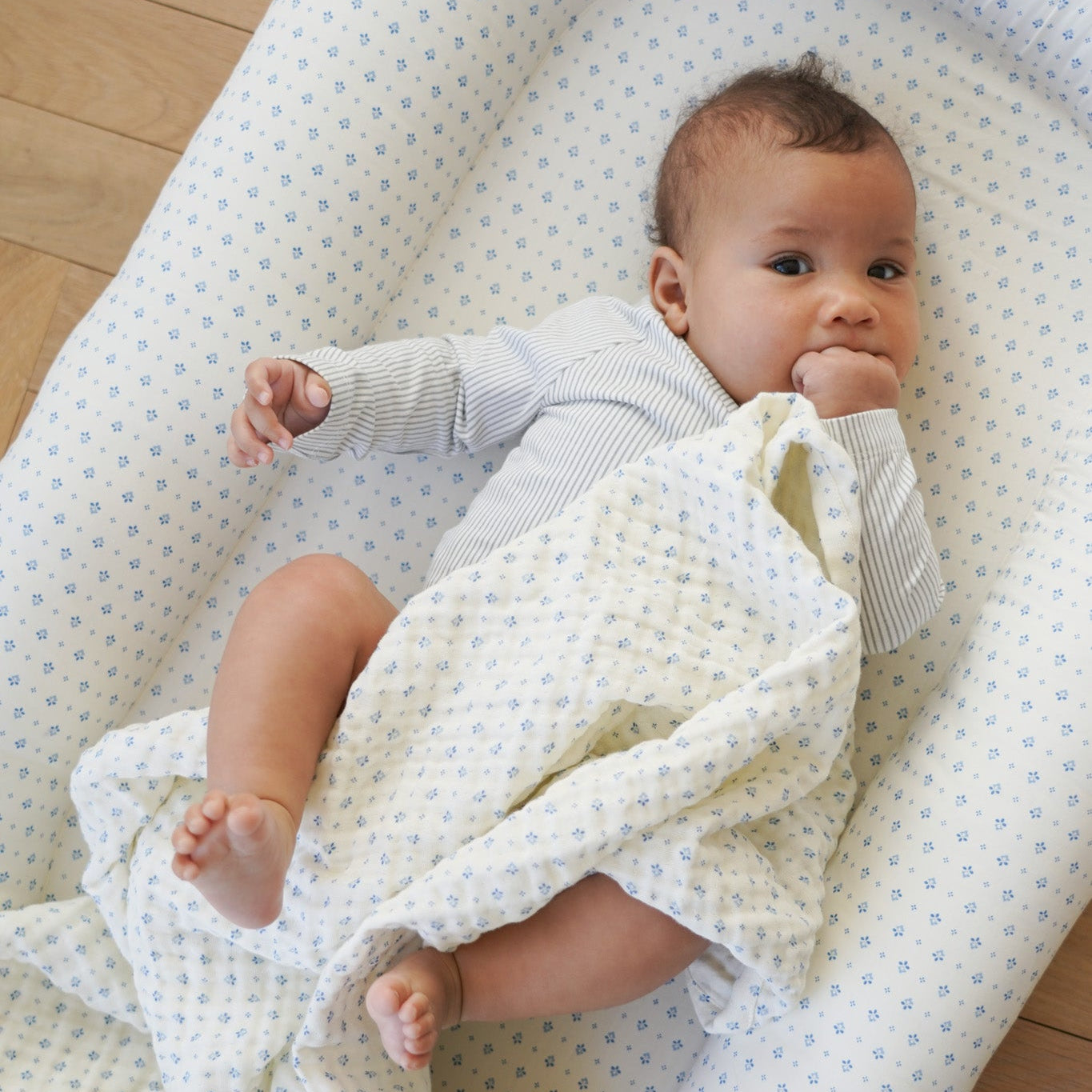 Babynest - OCS - Caprice