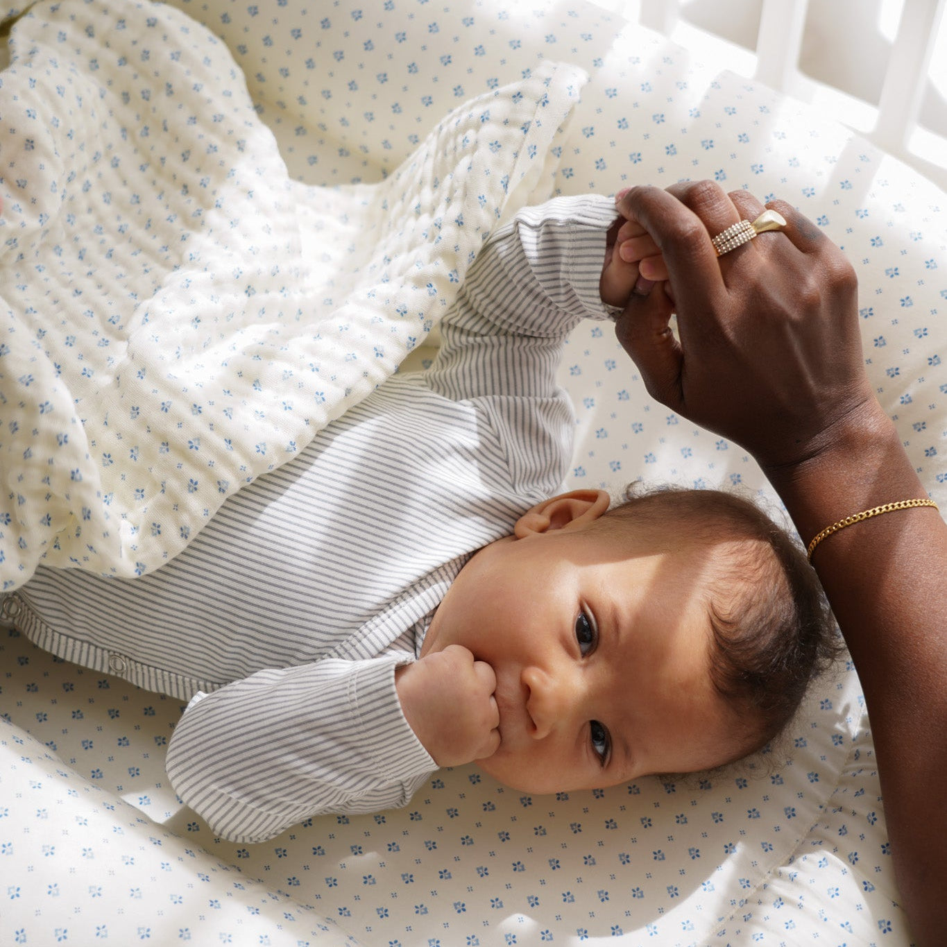 Babynest - OCS - Caprice